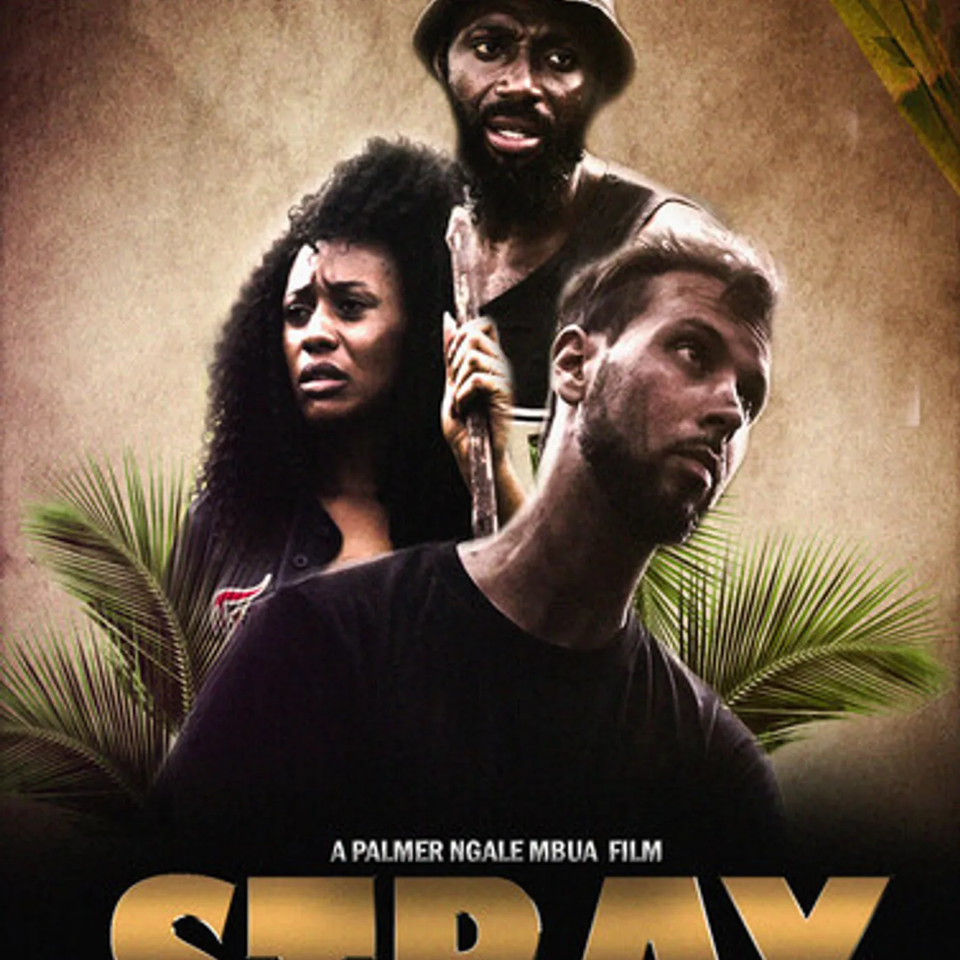 Stray DVD