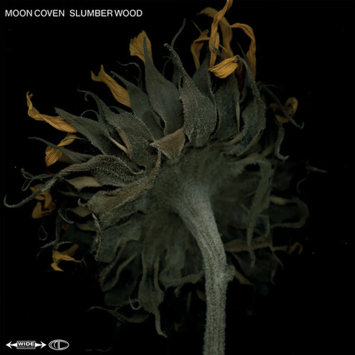 Moon Coven Slumber Wood Vinyl Record