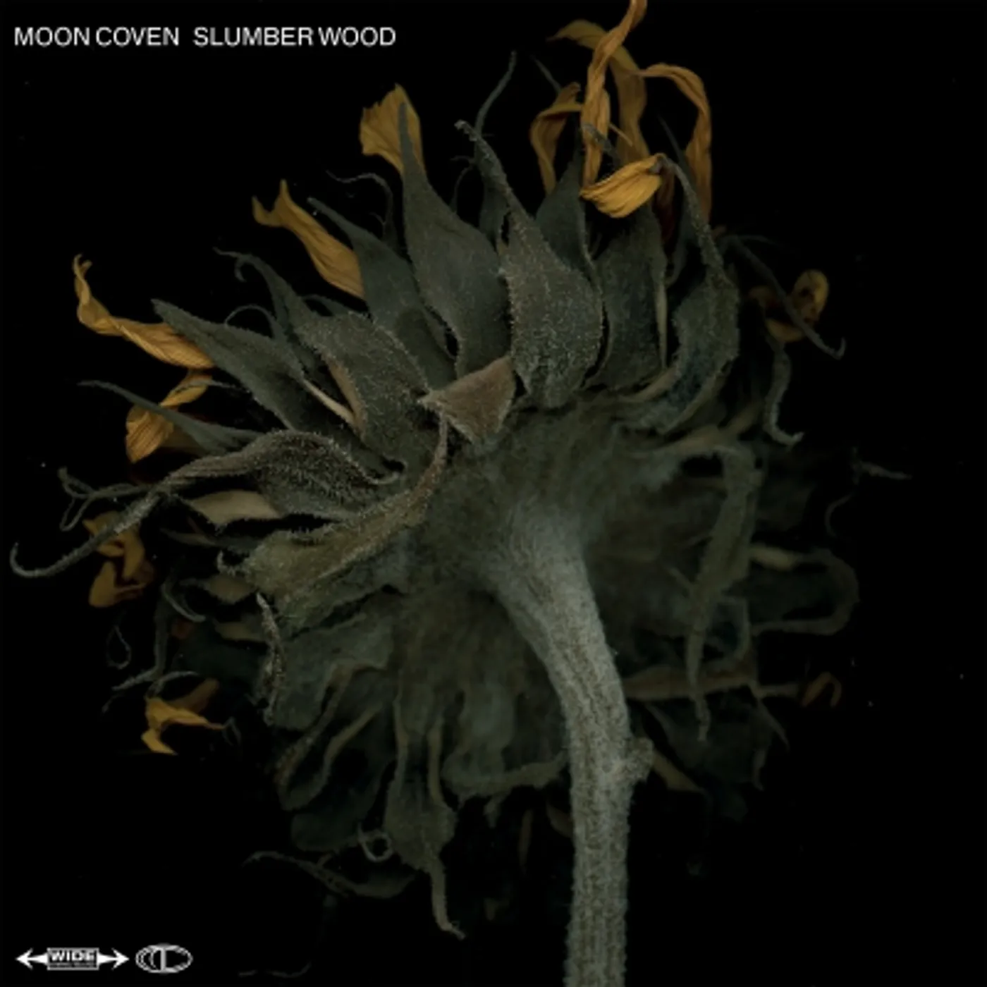 Moon Coven Slumber Wood Vinyl Record