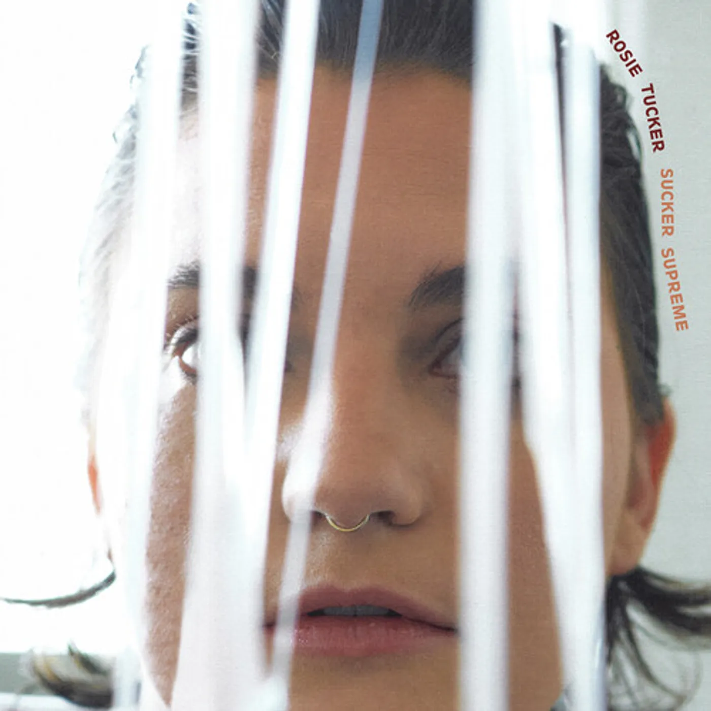 Rosie Tucker SUCKER SUPREME CD
