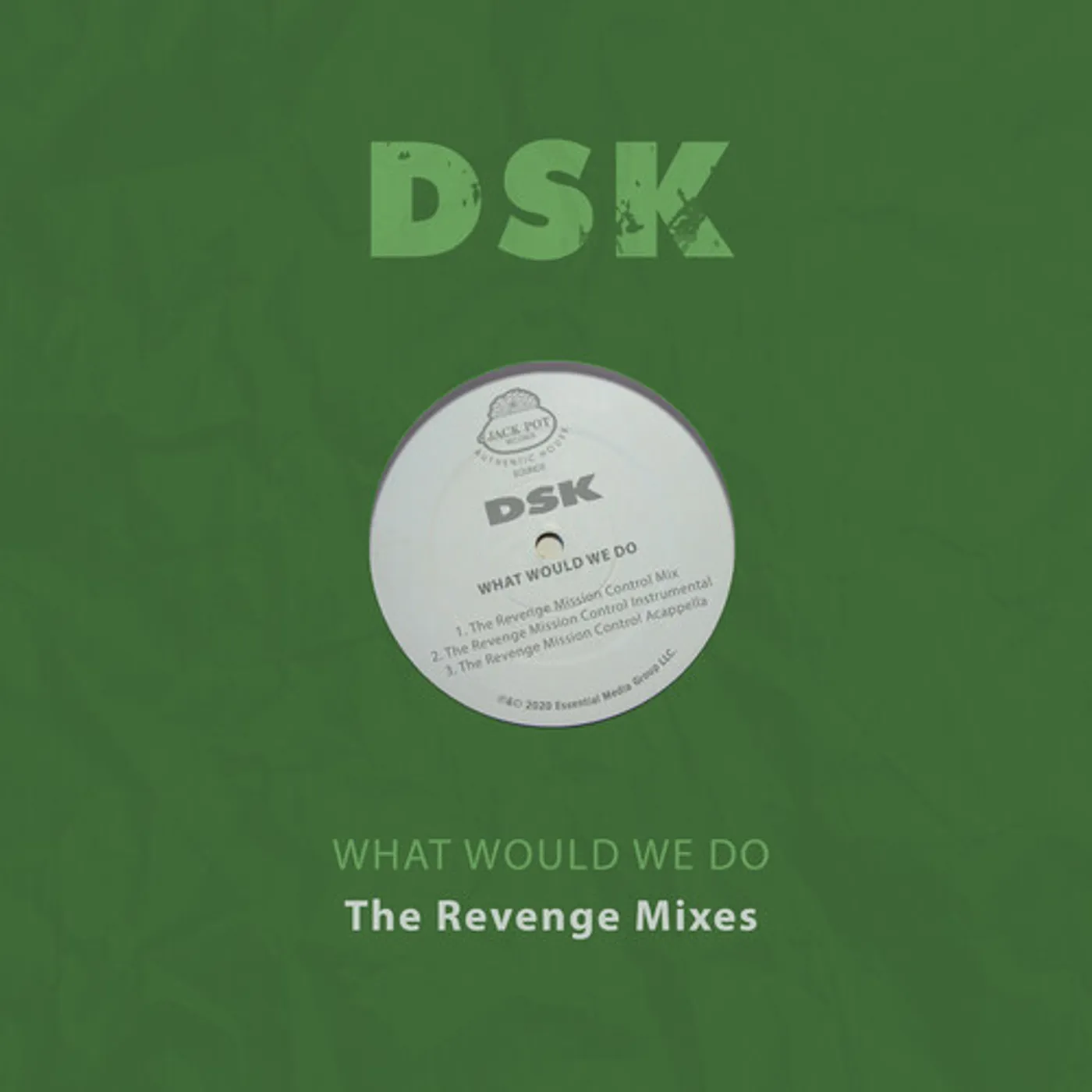 DSK WHAT WOULD WE DO - THE REVENGE MIXES CD