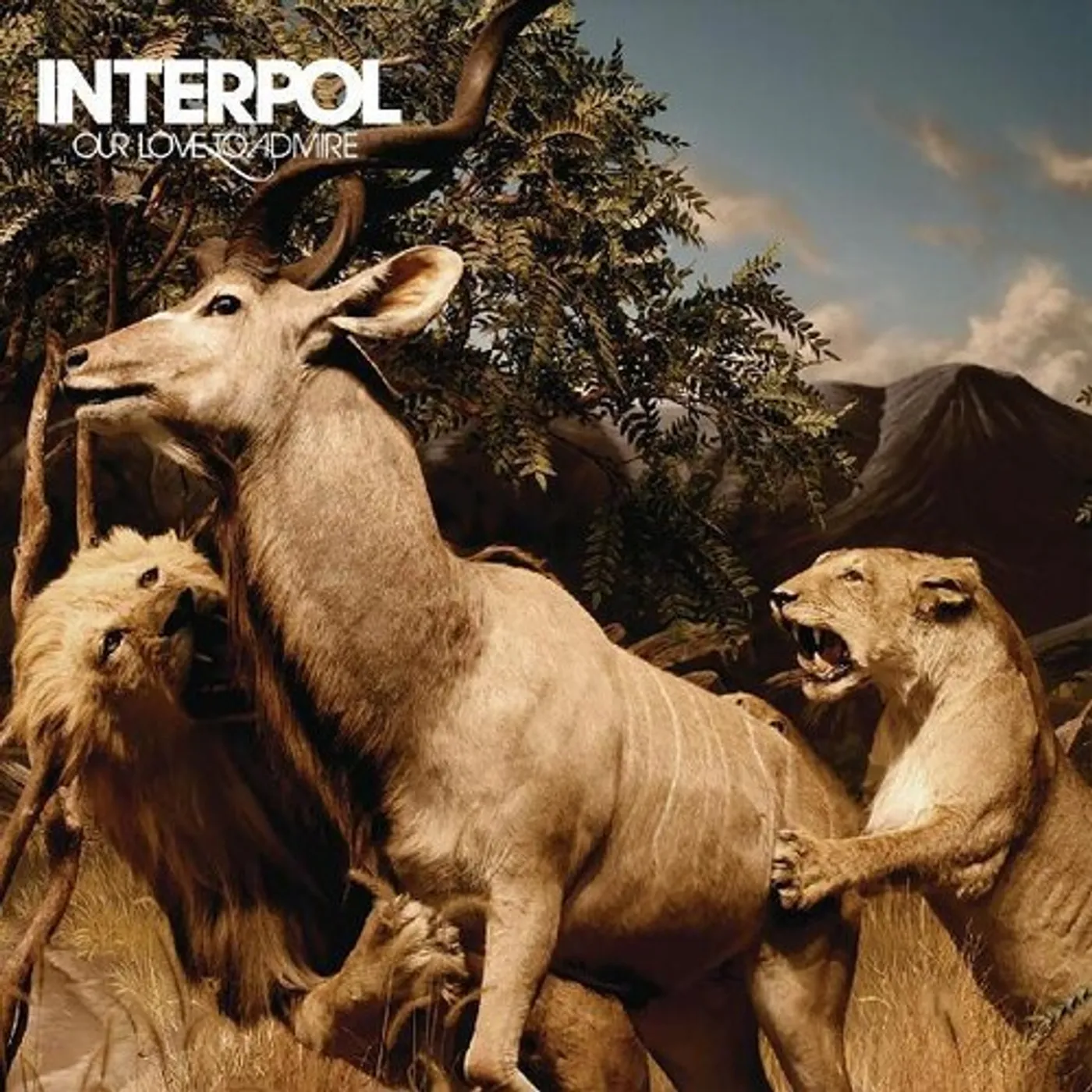 Interpol Our Love To Admire Vinyl Record