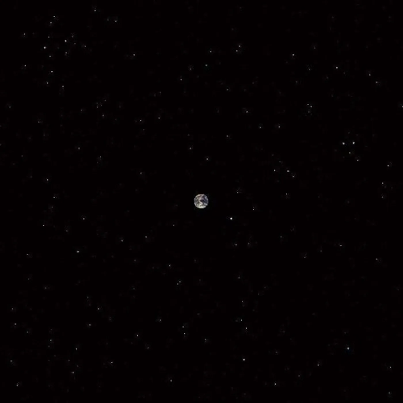 Ceramic Dog Hope Vinyl Record