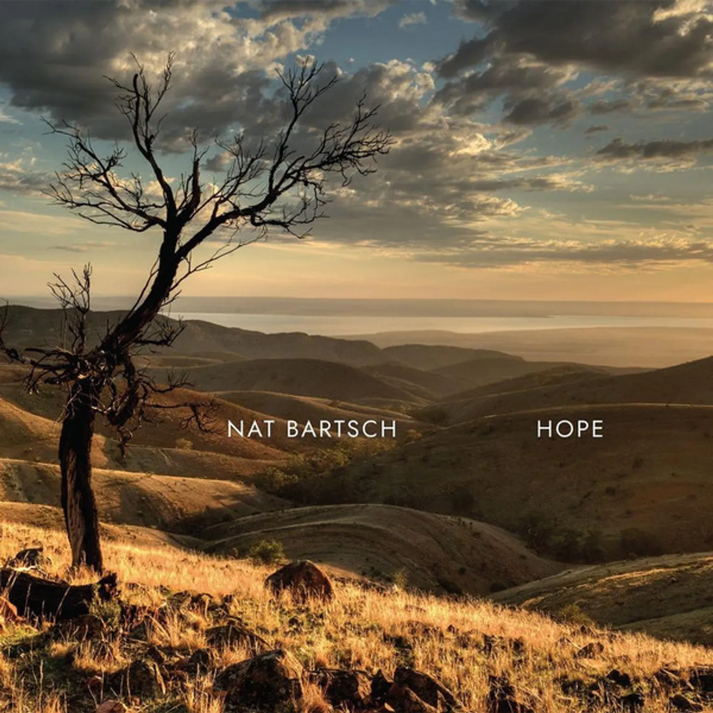 Nat Bartsch Hope Vinyl Record