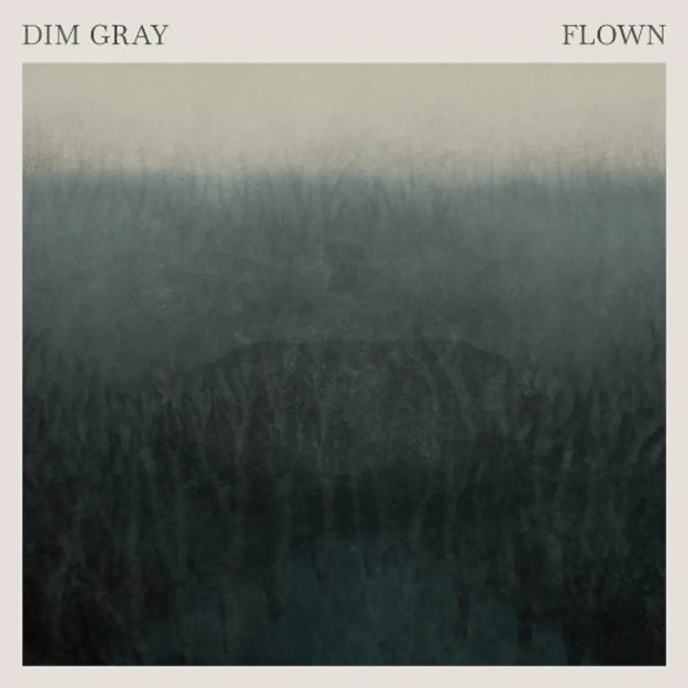 Dim Gray Flown Vinyl Record