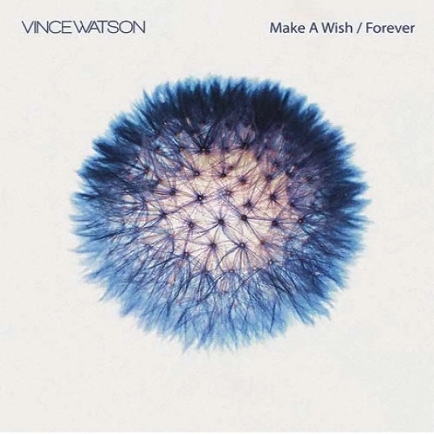 Vince Watson MAKE A WISH & FOREVER Vinyl Record