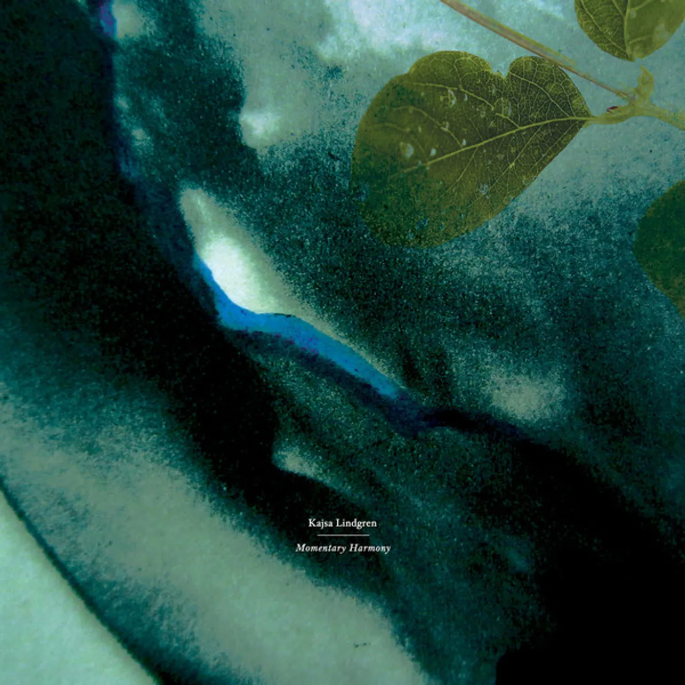 Kajsa Lindgren Momentary Harmony Vinyl Record