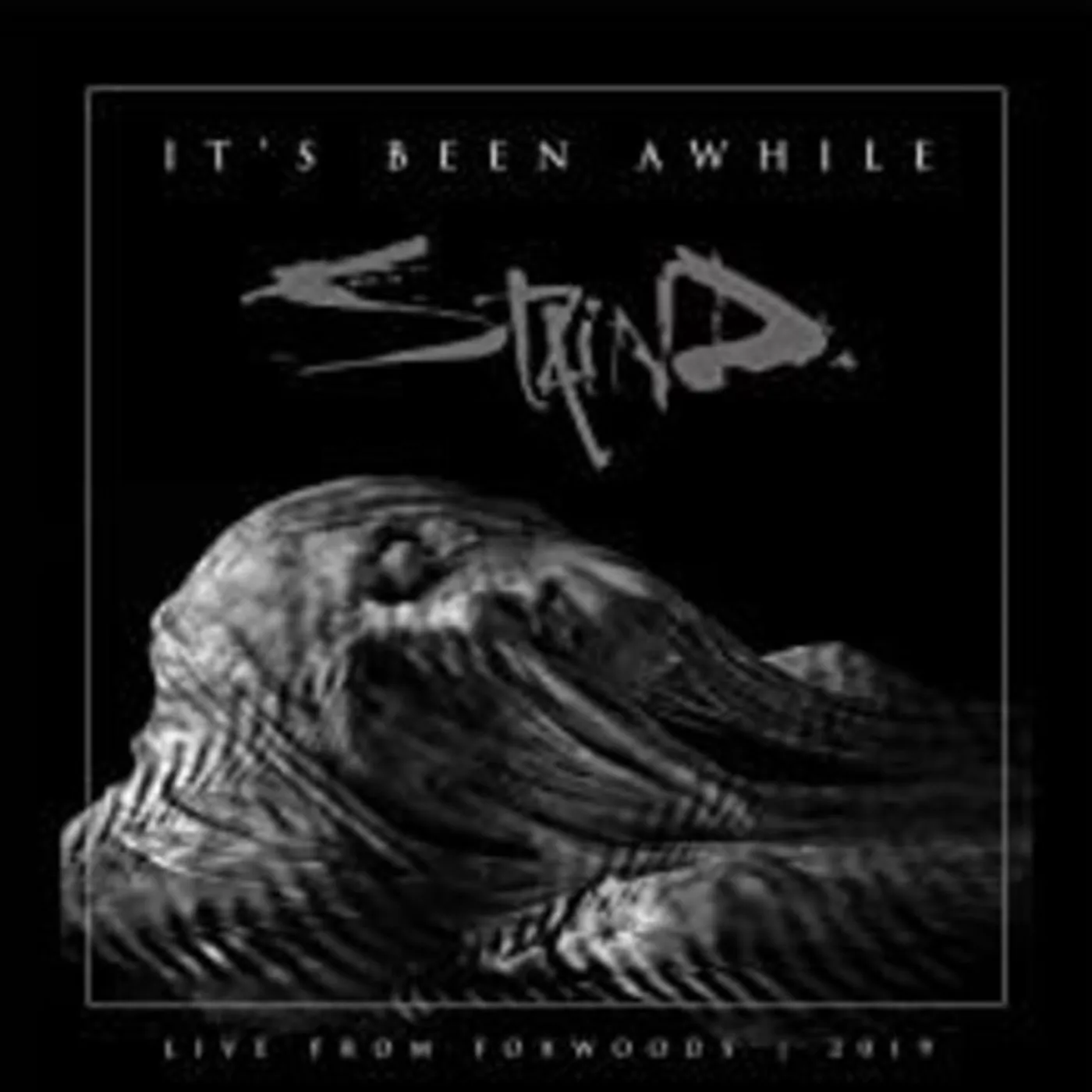 Staind LIVE: IT'S BEEN AWHILE DVD