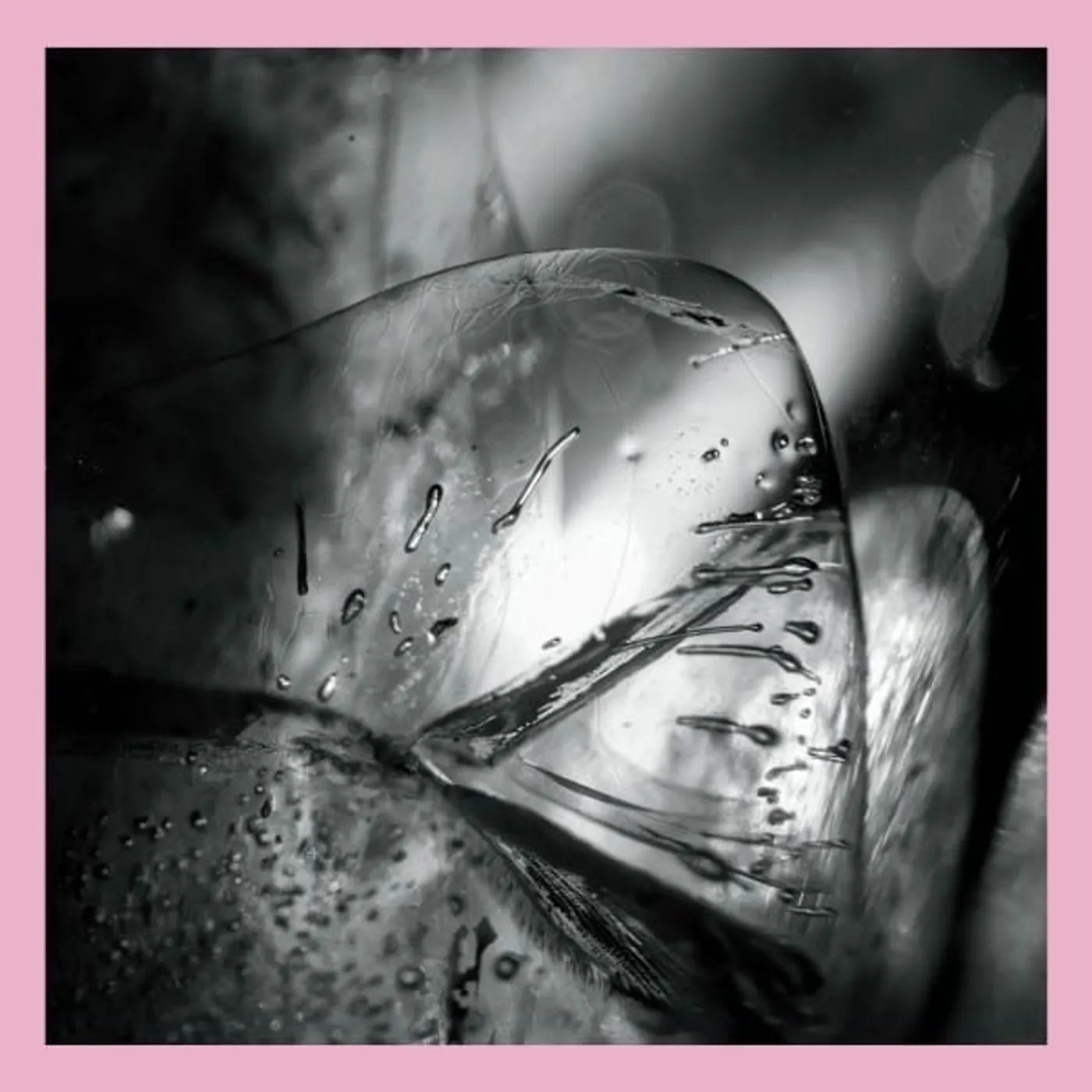 Loscil Clara Vinyl Record