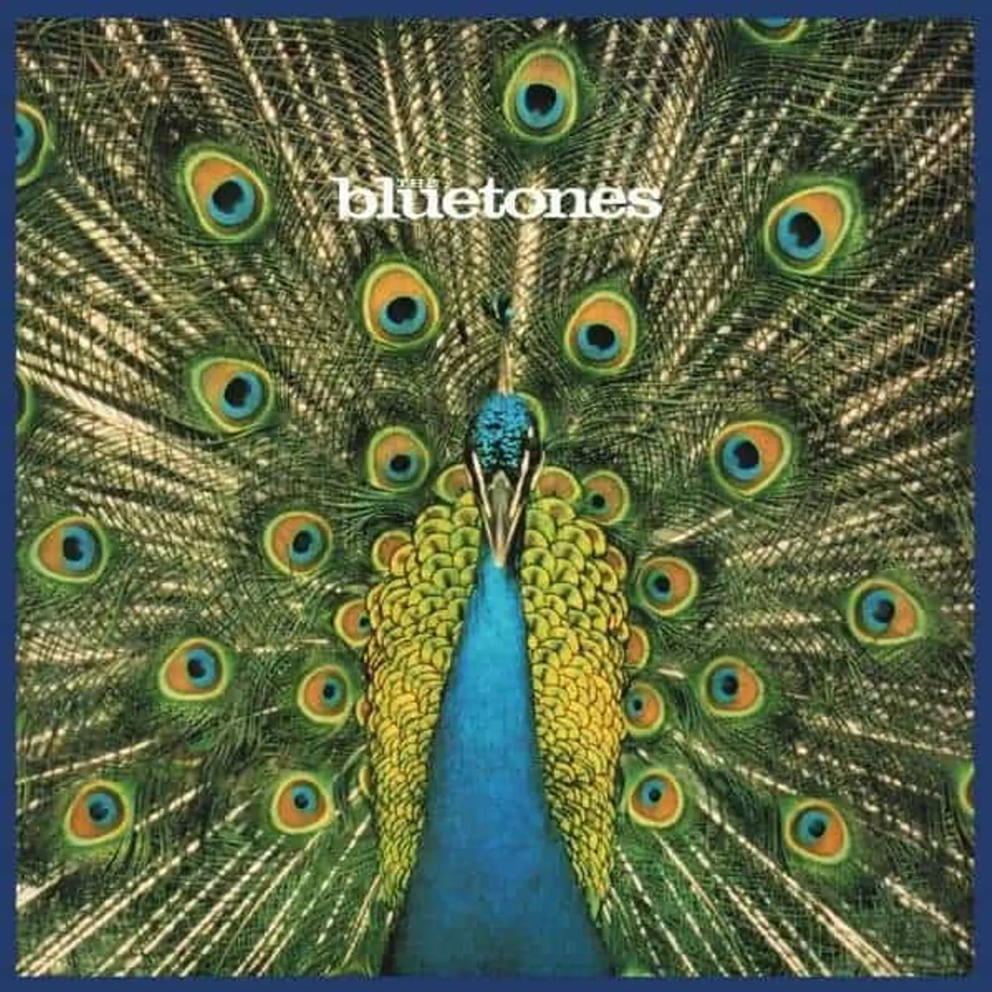 The Bluetones EXPECTING TO FLY: 25TH ANNIVERSARY Vinyl Record