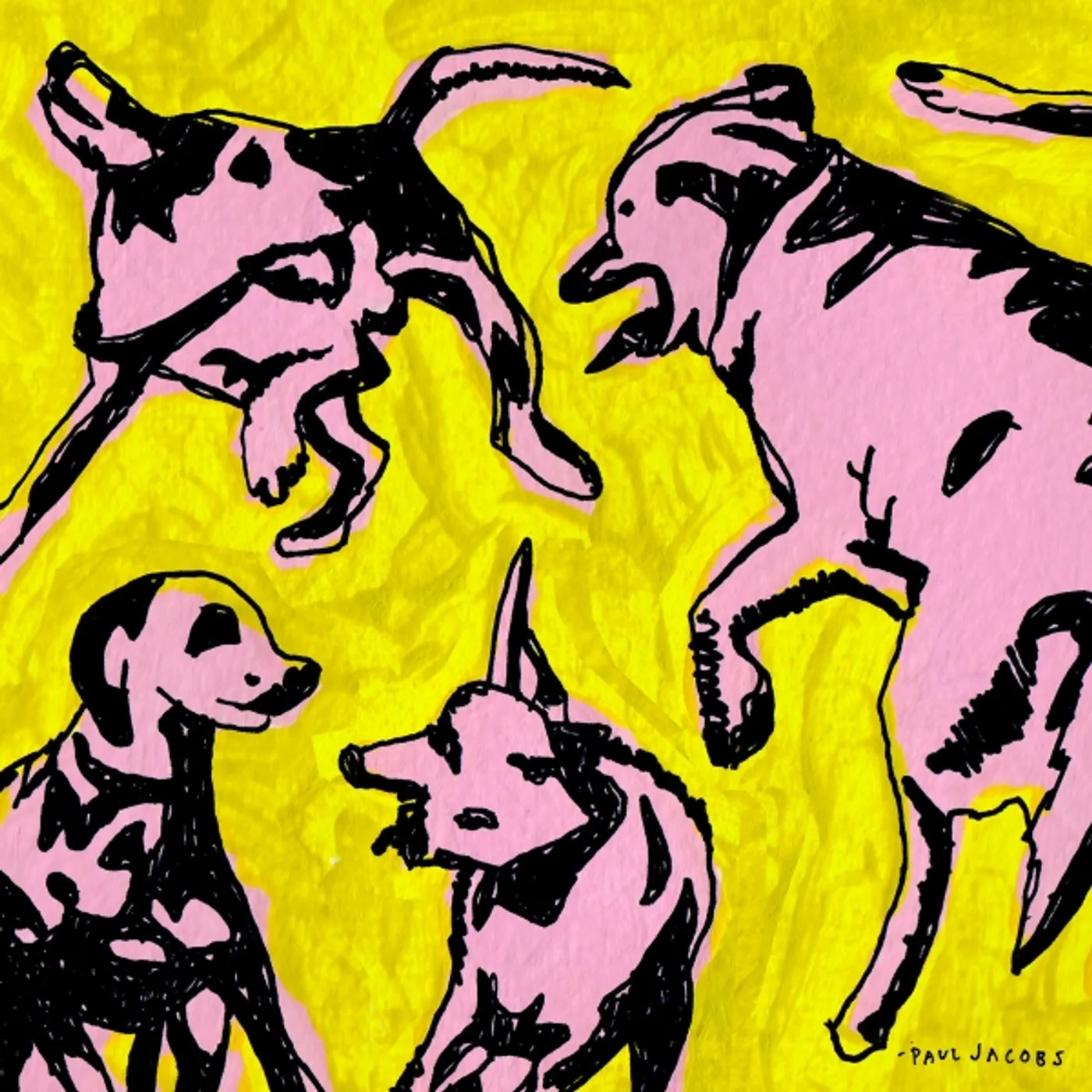 Paul Jacobs PINK DOGS ON THE GREEN GRASS Vinyl Record