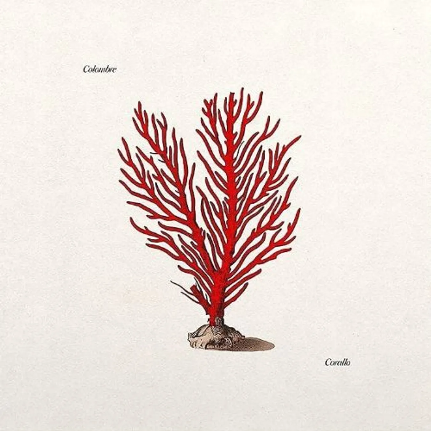 Colombre Corallo Vinyl Record