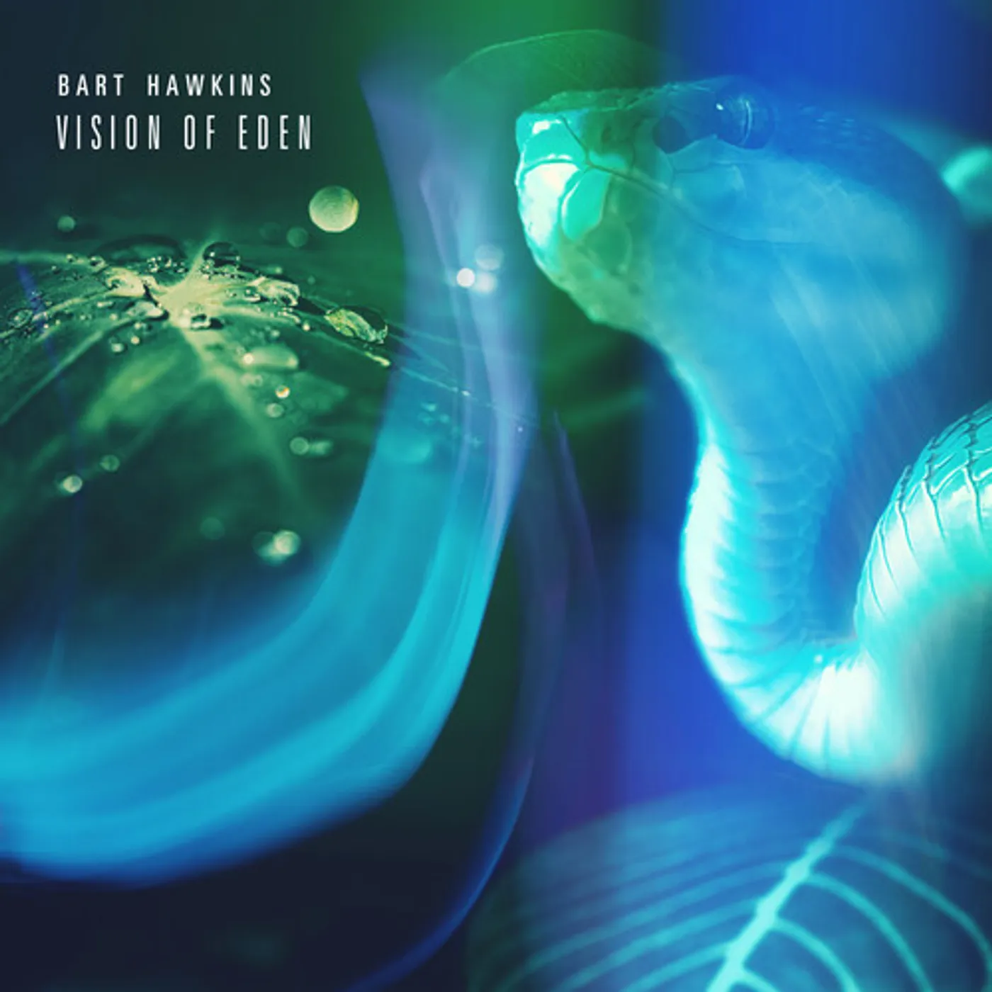 Bart Hawkins VISION OF EDEN CD