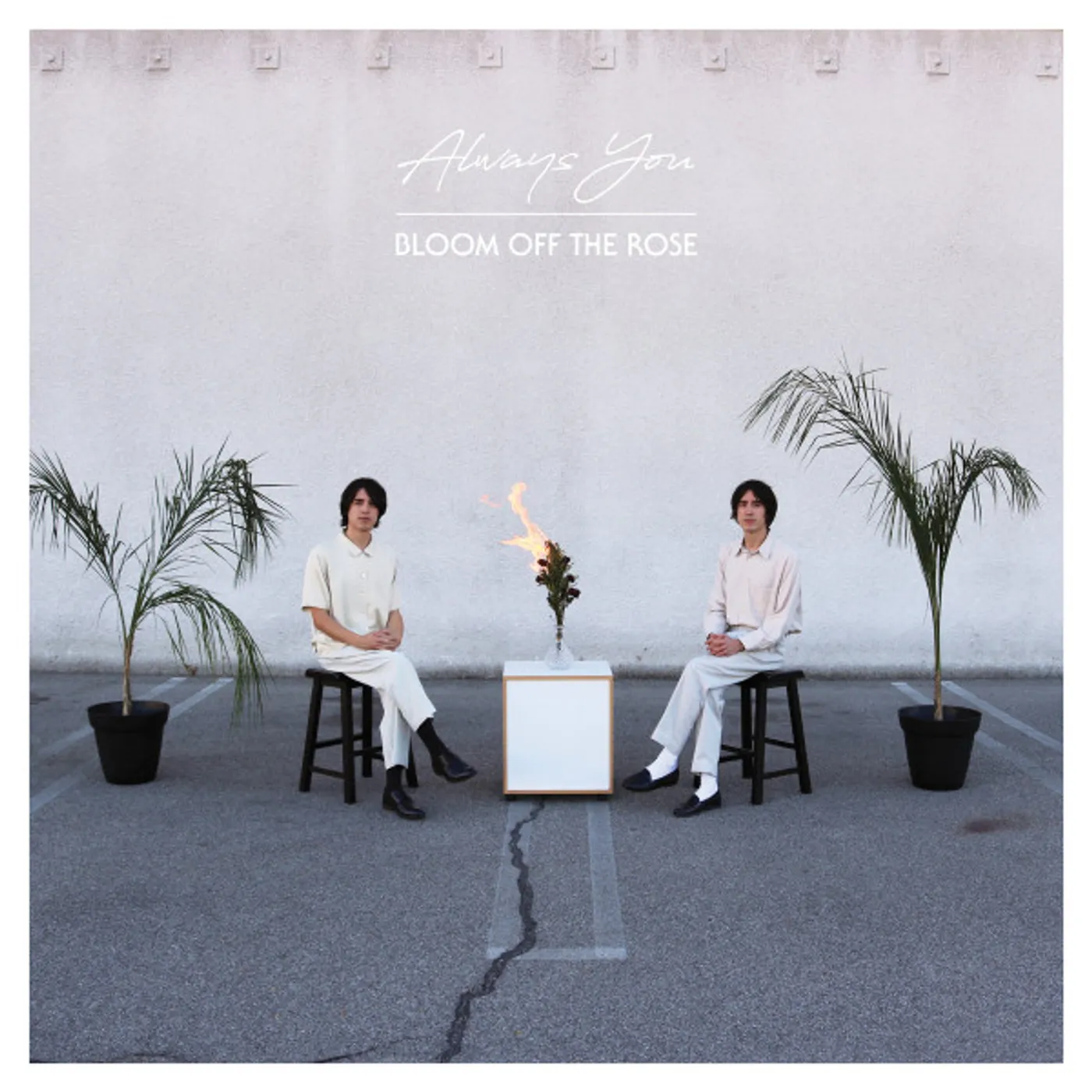 Always You Bloom Off the Rose Vinyl Record