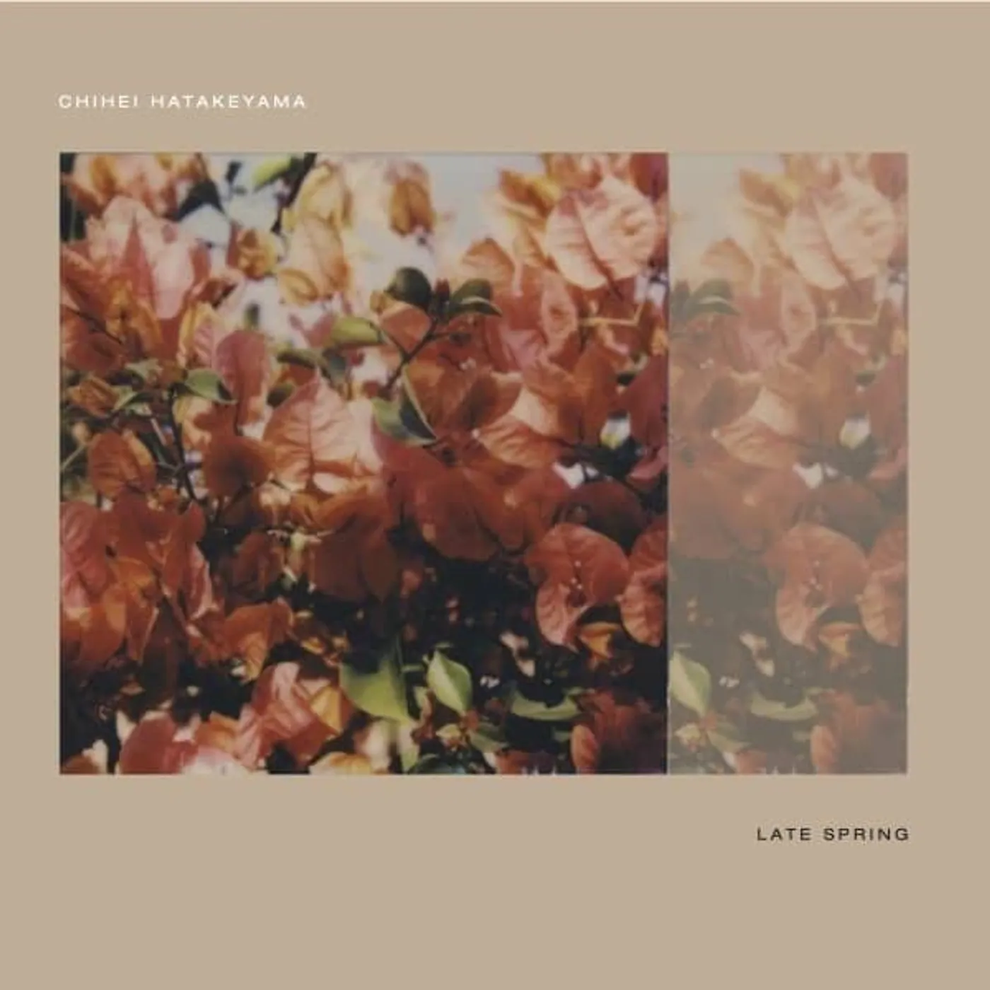 Chihei Hatakeyama Late Spring Vinyl Record