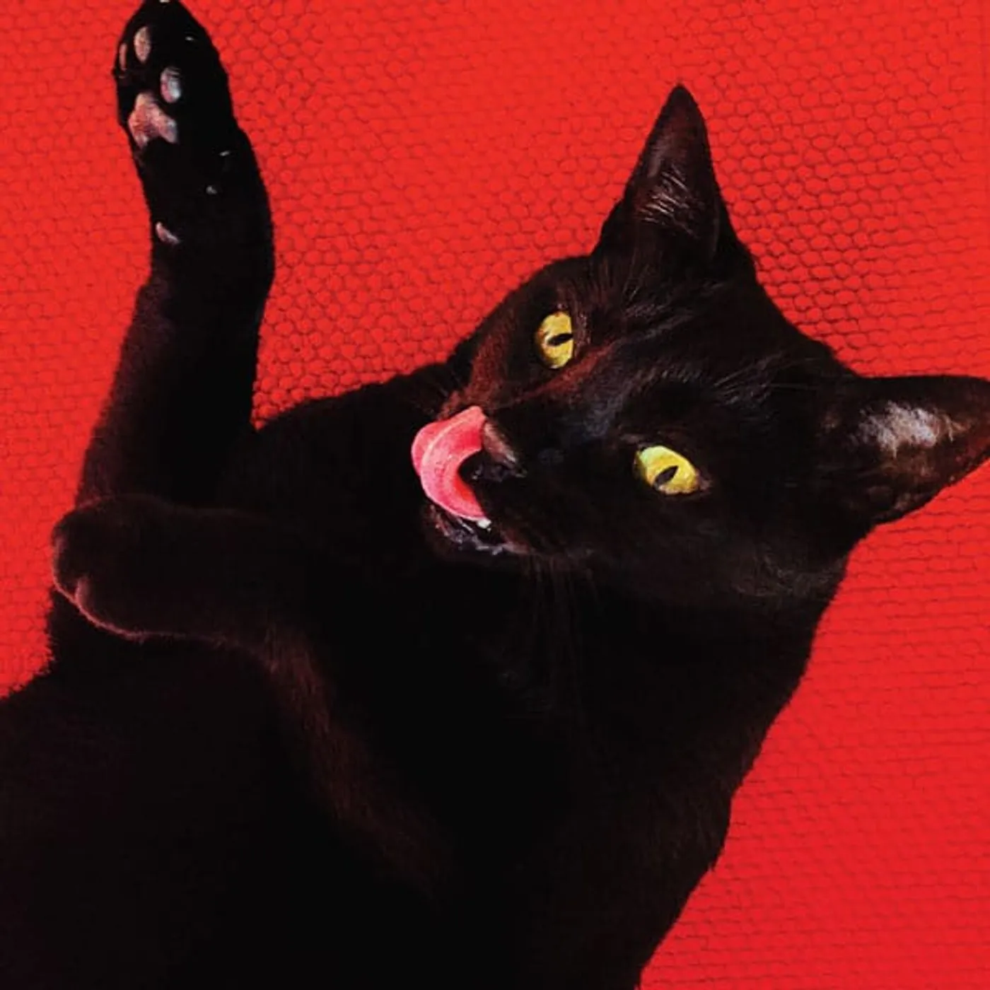 Ryan Adams Big Colors (Red Vinyl With Bonus 7")