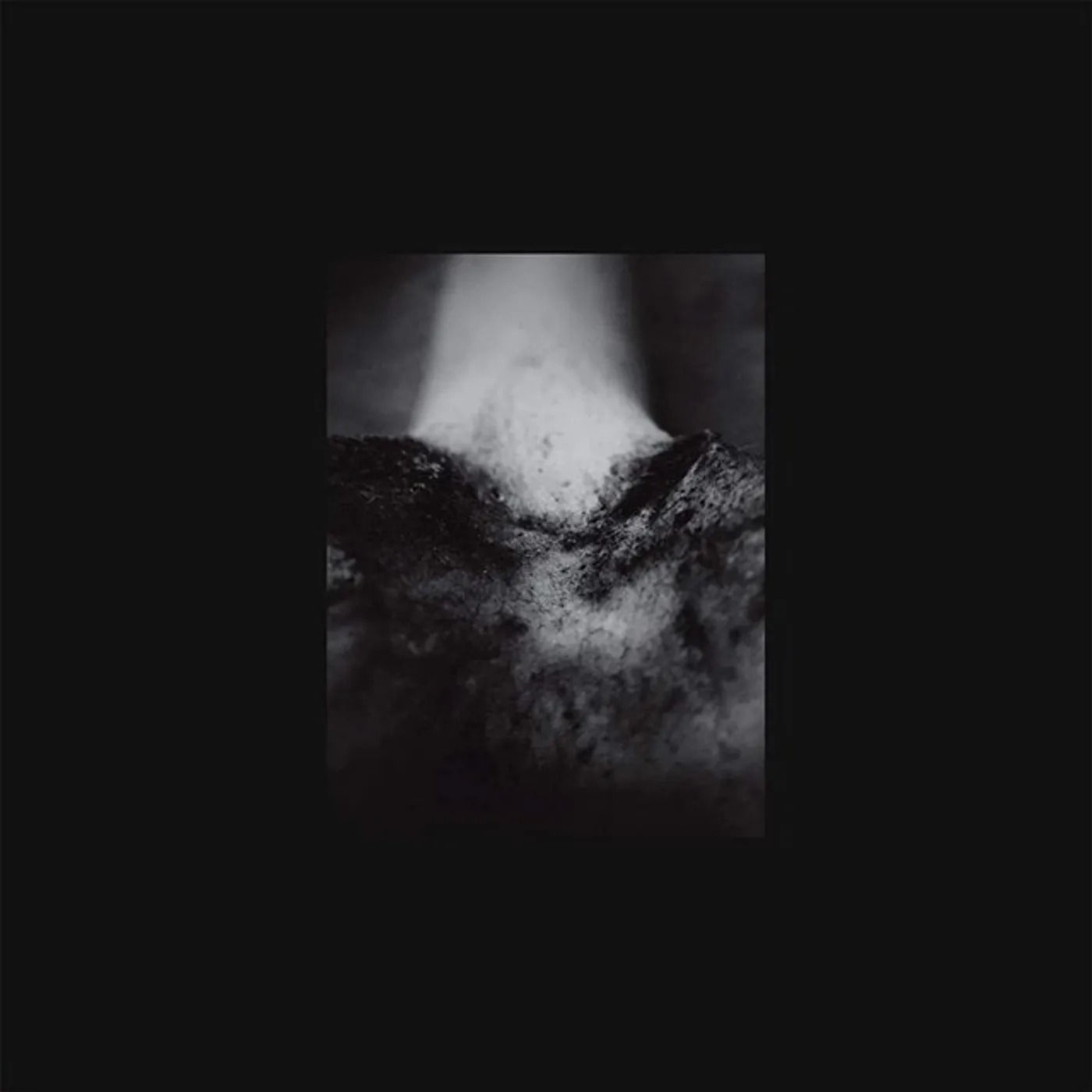 Common Eider, King Eider WOUND OF BODY Vinyl Record