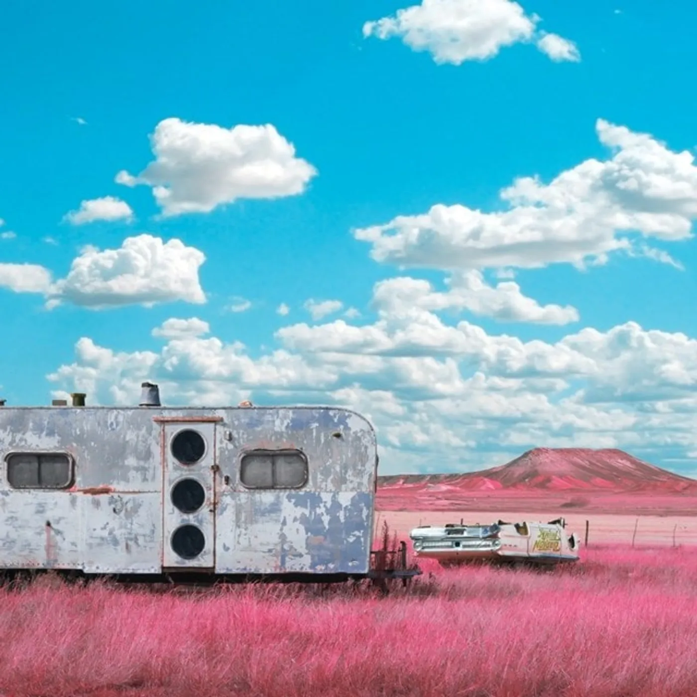 Barton Think MY LAST RECORD Vinyl Record