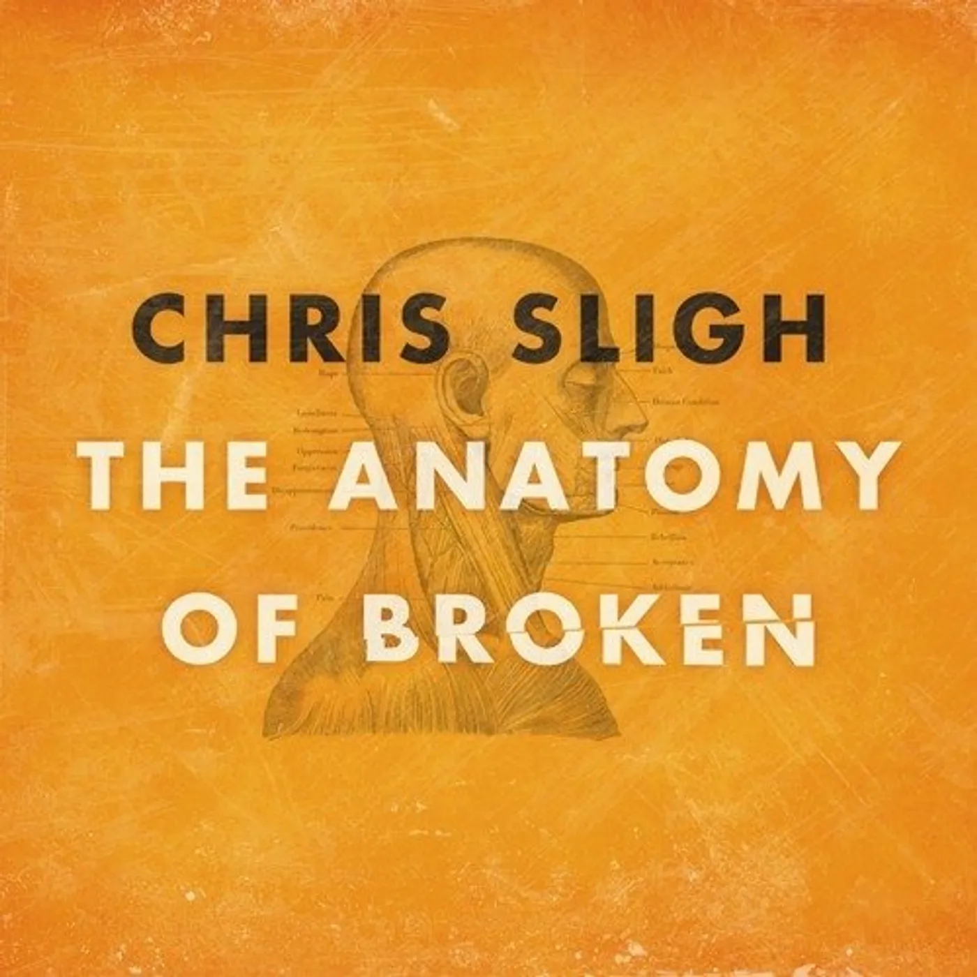 Chris Sligh ANATOMY OF BROKEN CD