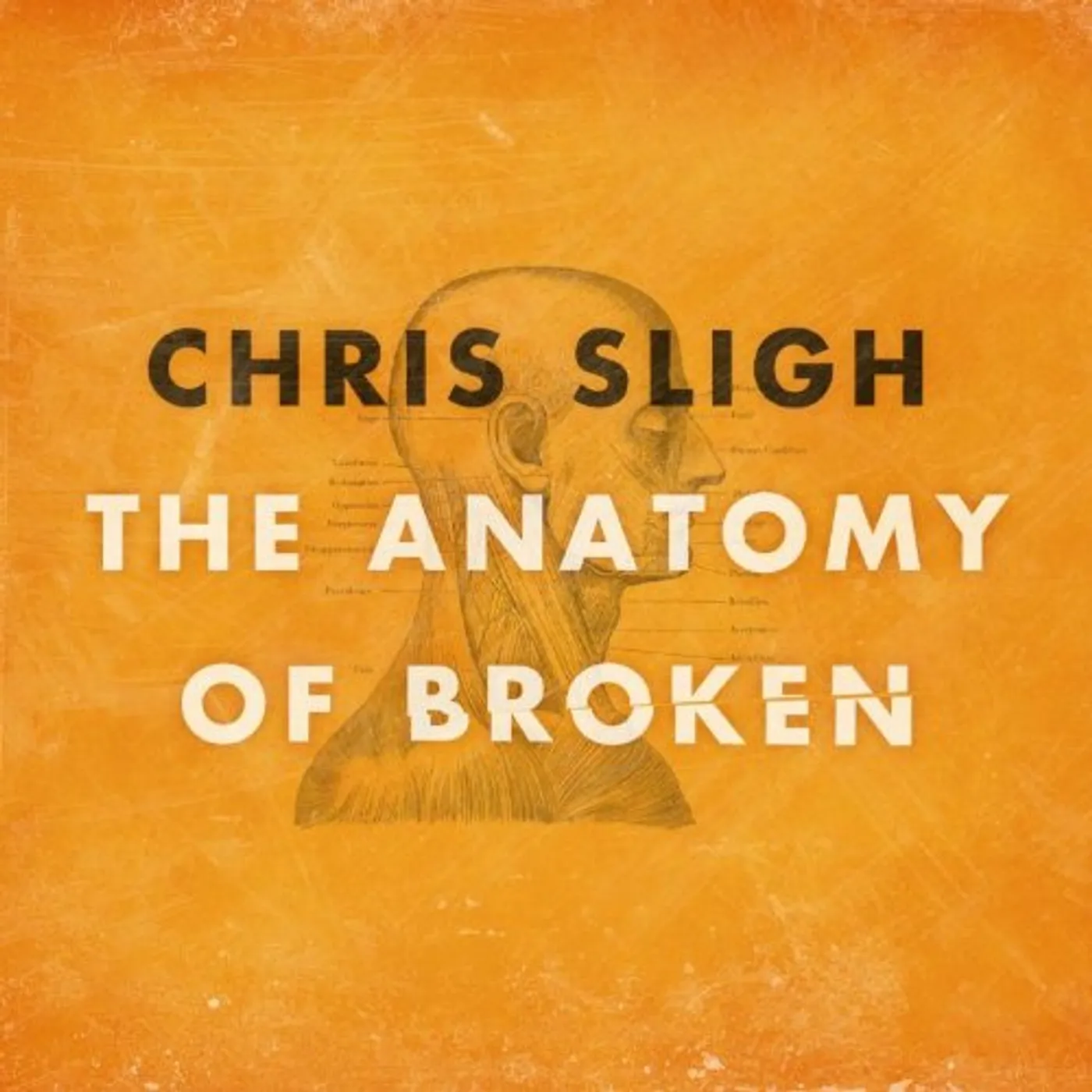 Chris Sligh ANATOMY OF BROKEN CD