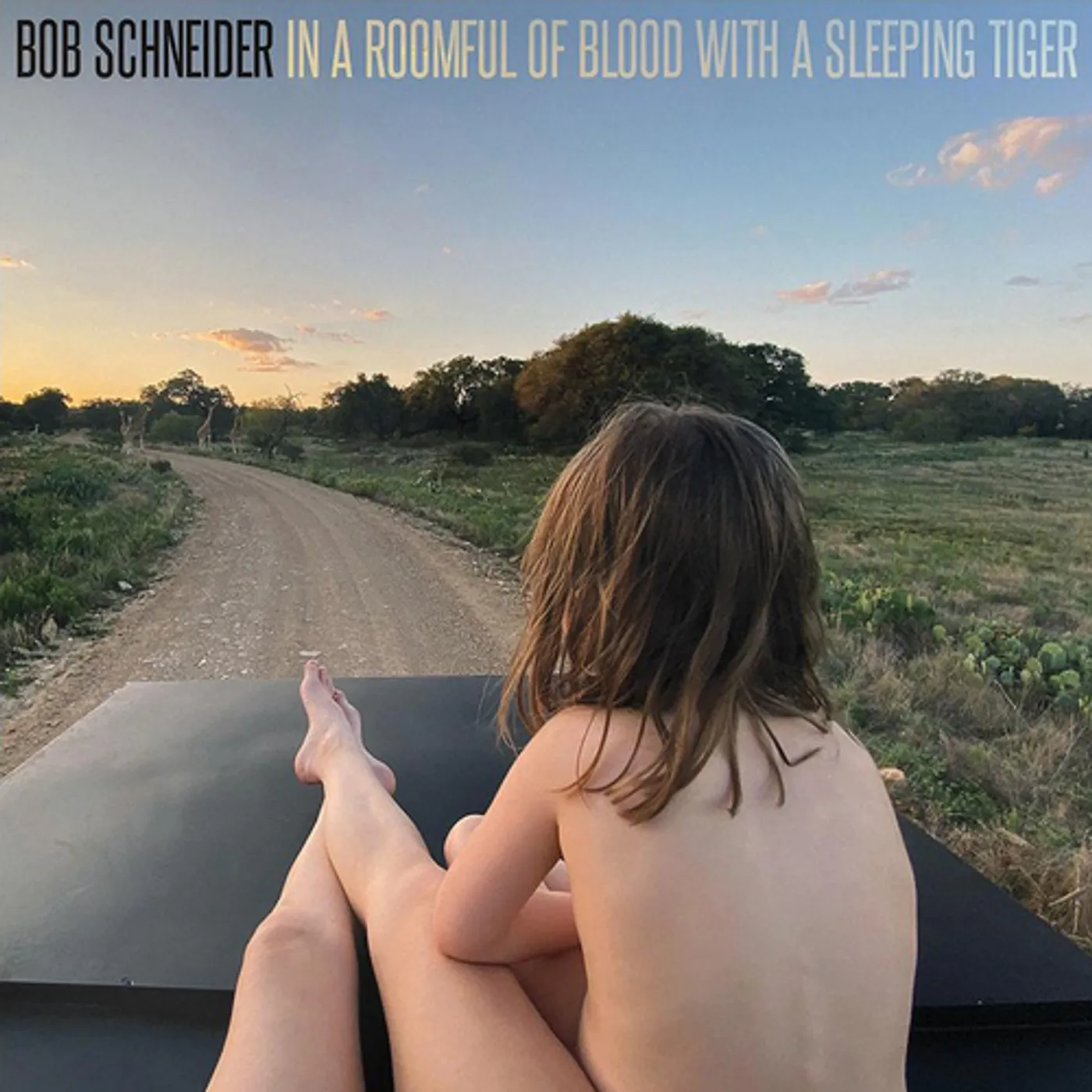 Bob Schneider In a Roomful of Blood with a Sleeping Tiger Vinyl Record