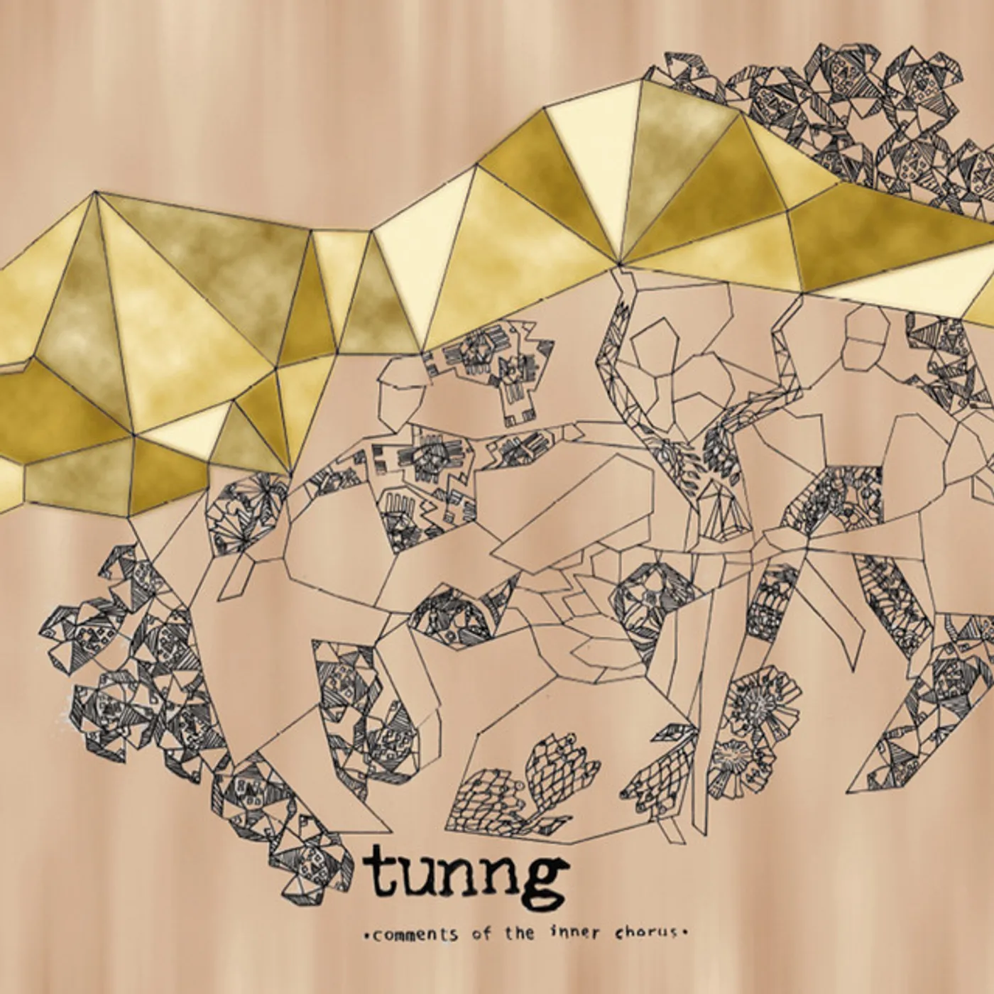 Tunng COMMENTS OF THE INNER CHORUS CD
