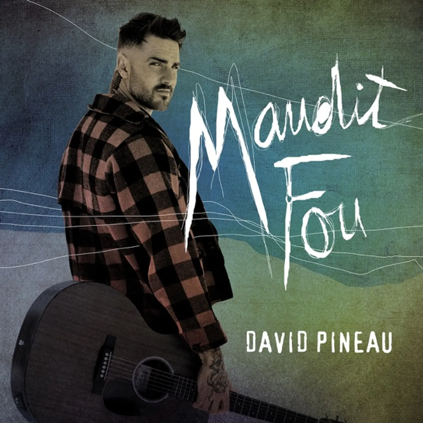David Pineau MAUDIT FOU CD
