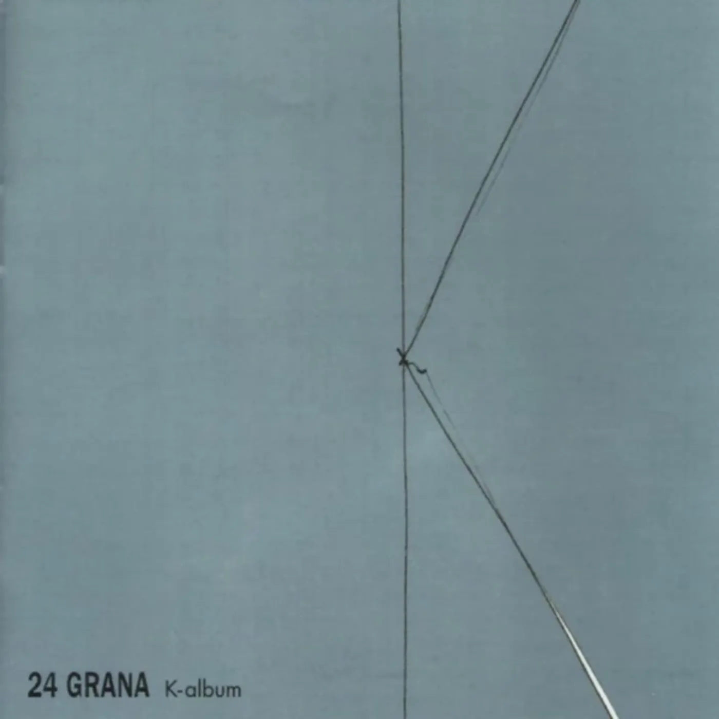 24 Grana KALBUM Vinyl Record
