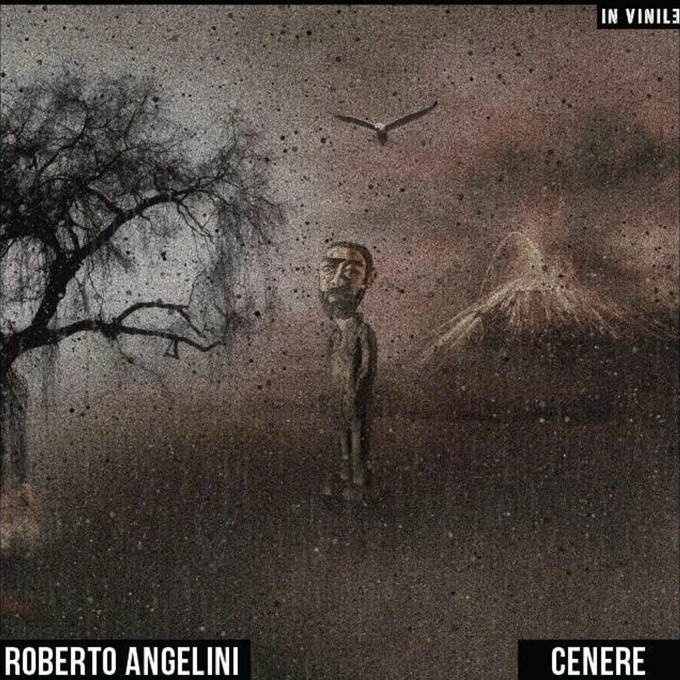 Roberto Angelini Cenere Vinyl Record