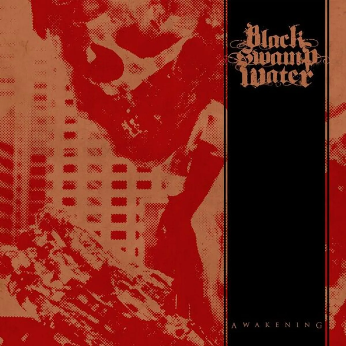 Black Swamp Water Awakening Vinyl Record
