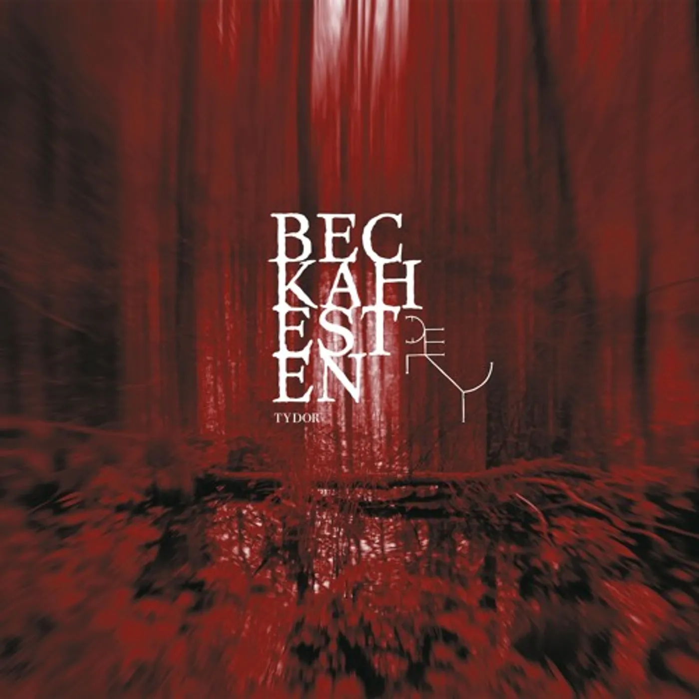 Beckahesten Tydor Vinyl Record