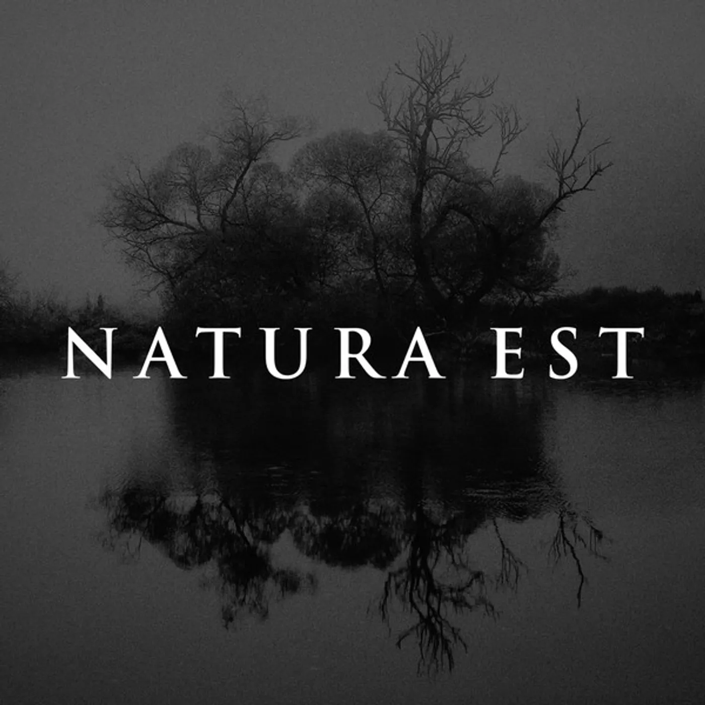Natura Est REAL SEASONS CD