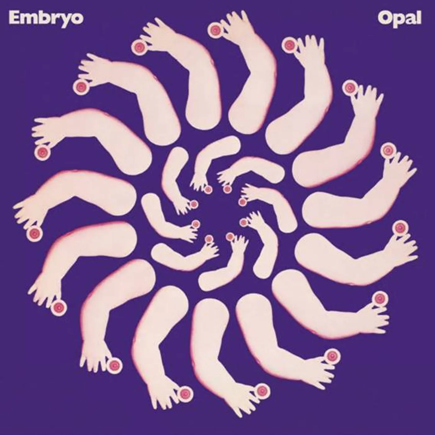 Embryo Opal Vinyl Record