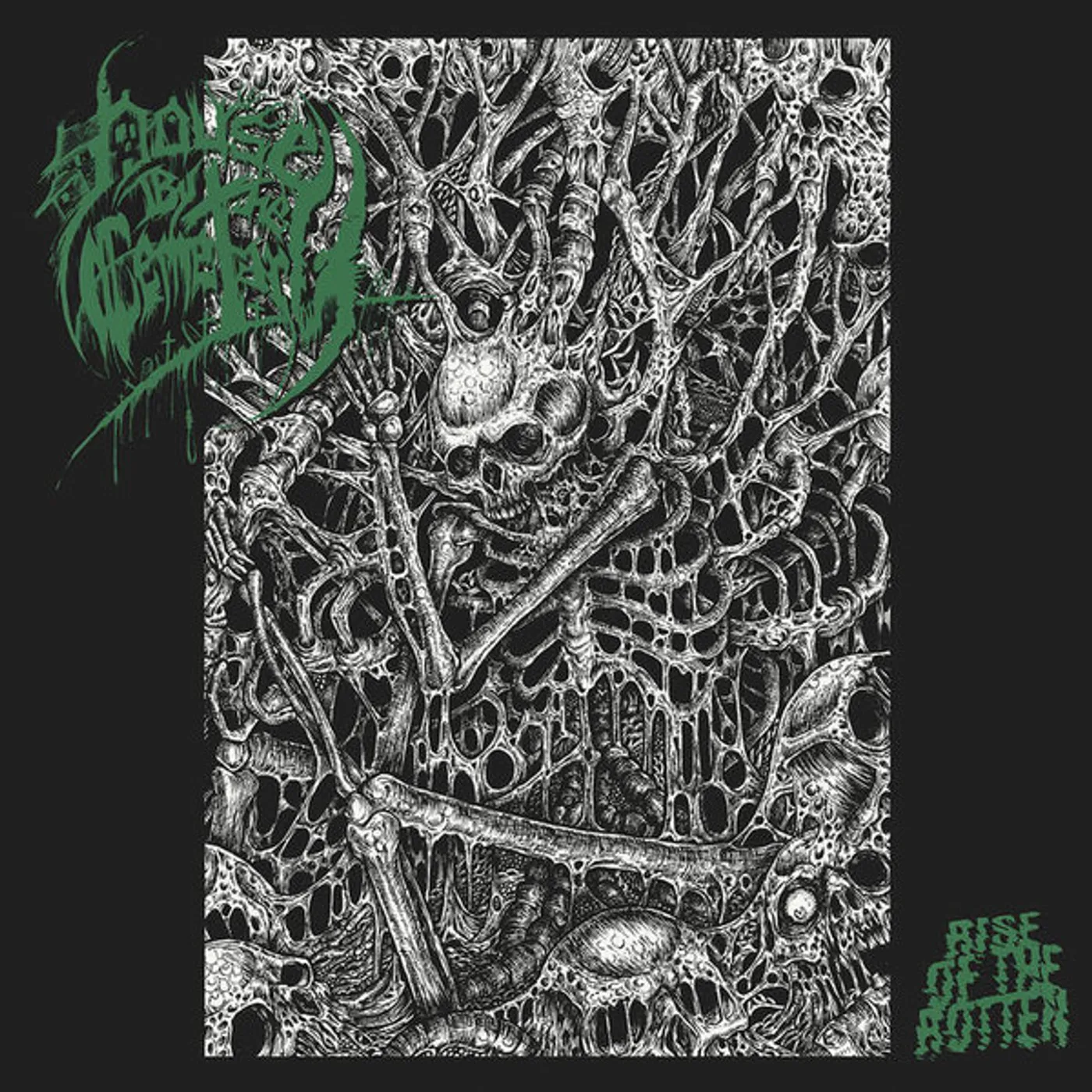 House by the Cemetary Rise of the Rotten Vinyl Record