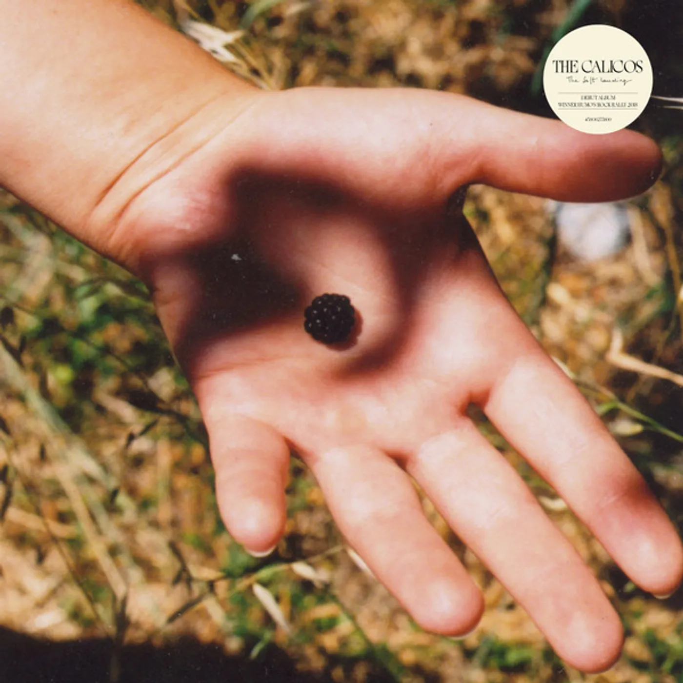 Calicos SOFT LANDING Vinyl Record