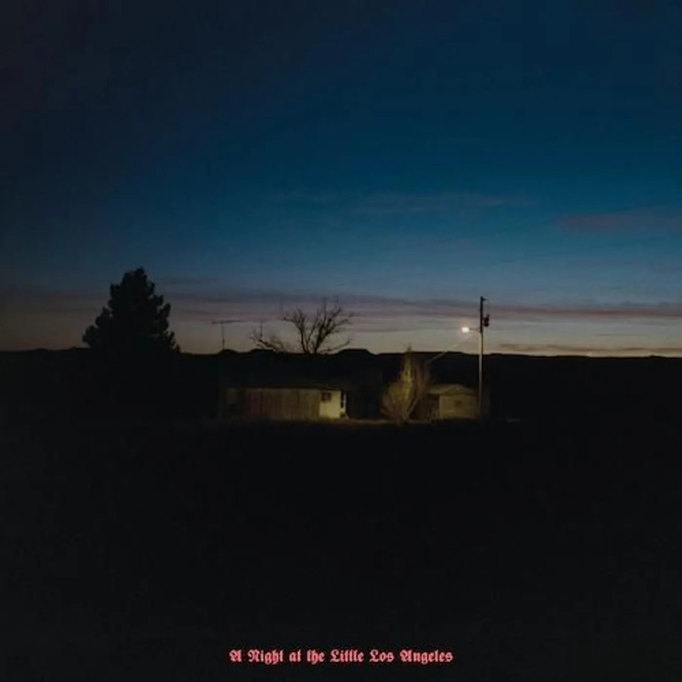KEVIN MORBY 'A NIGHT AT THE LITTLE LOS ANGELES Vinyl Record