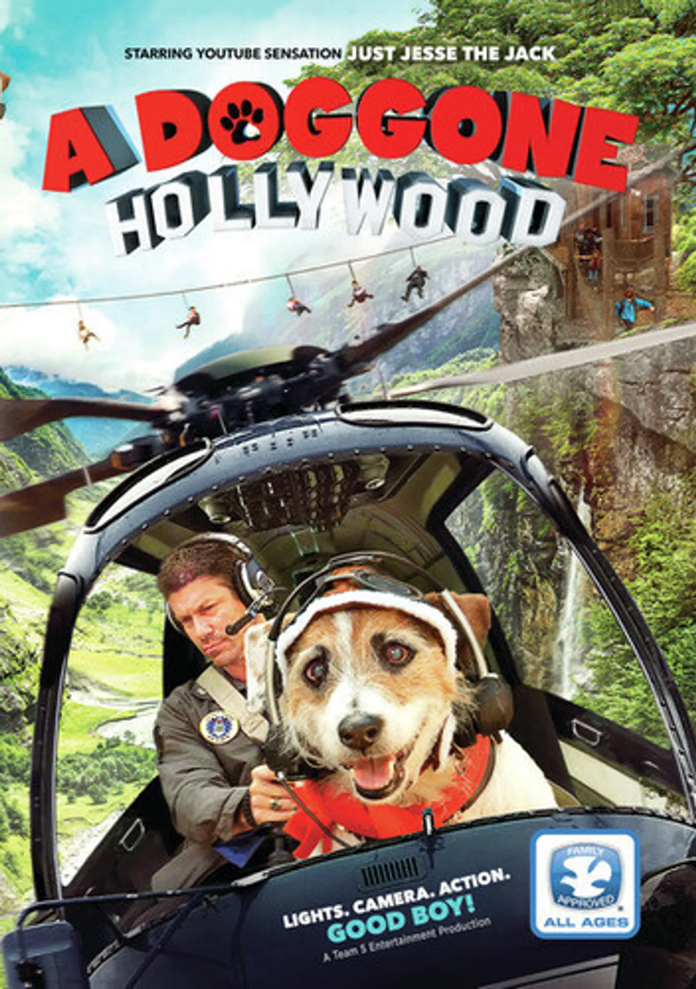 DOGGONE HOLLYWOOD