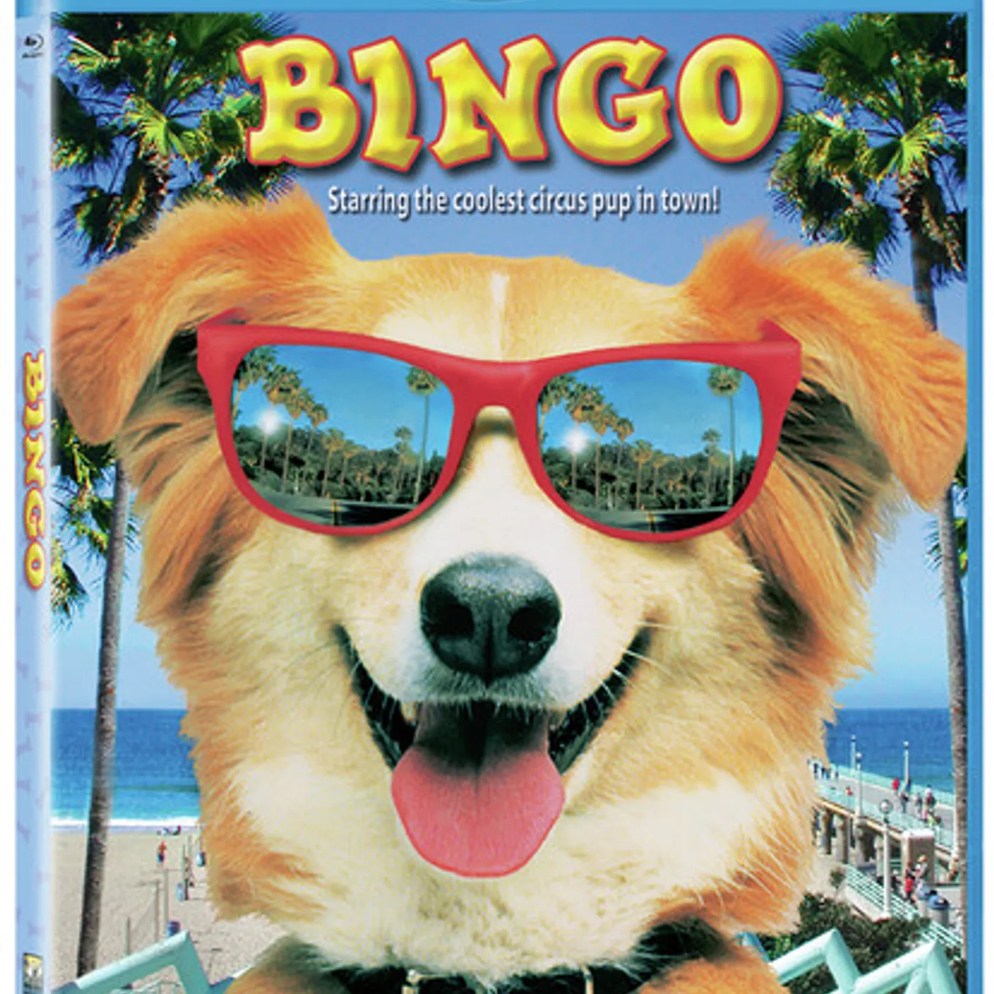 Bingo Blu-ray