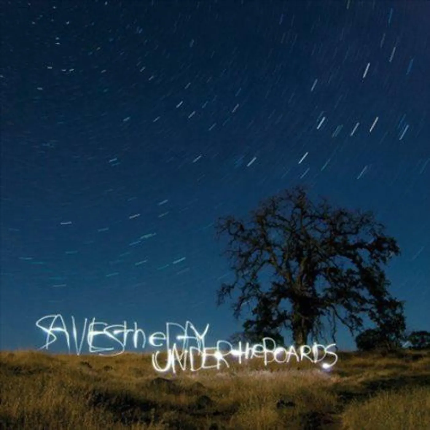 Saves The Day Under The Boards Vinyl Record