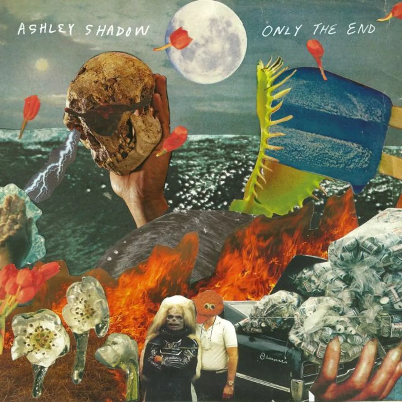 Ashley Shadow ONLY THE END CD