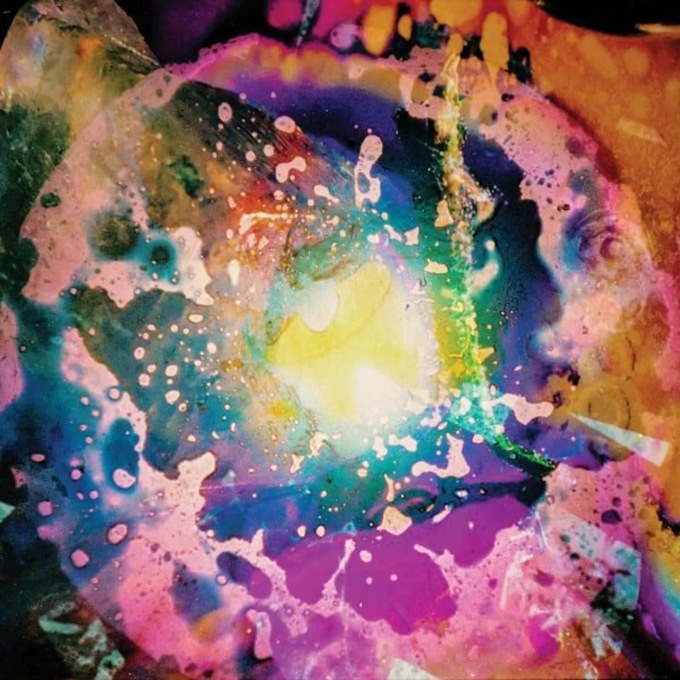 Possum Lunar Gardens Vinyl Record