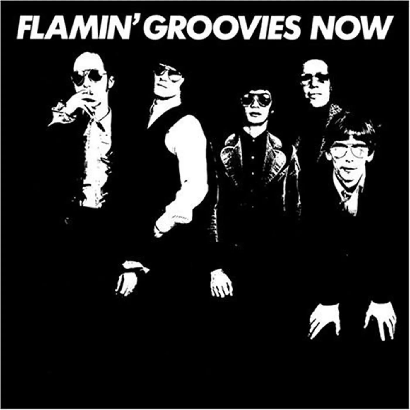 Flamin' Groovies Now Vinyl Record