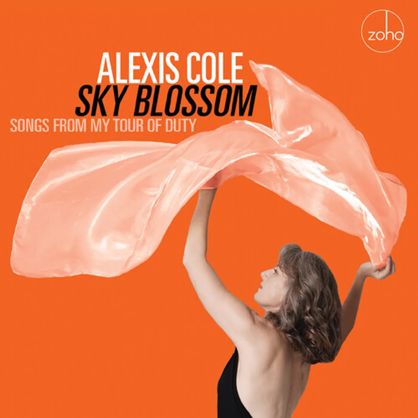 Alexis Cole SKY BLOSSOM - SONGS FROM MY TOUR OF DUTY CD