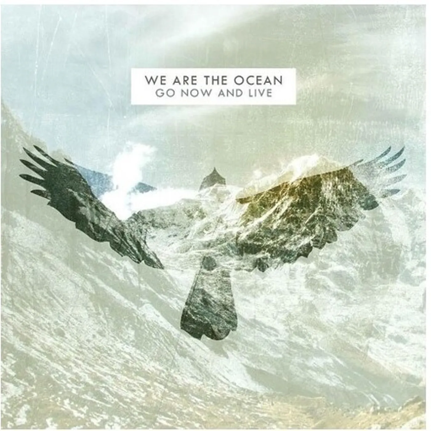 We Are The Ocean GO NOW & LIVE (10TH ANNIVERSARY VINYL PRESSING) Vinyl Record