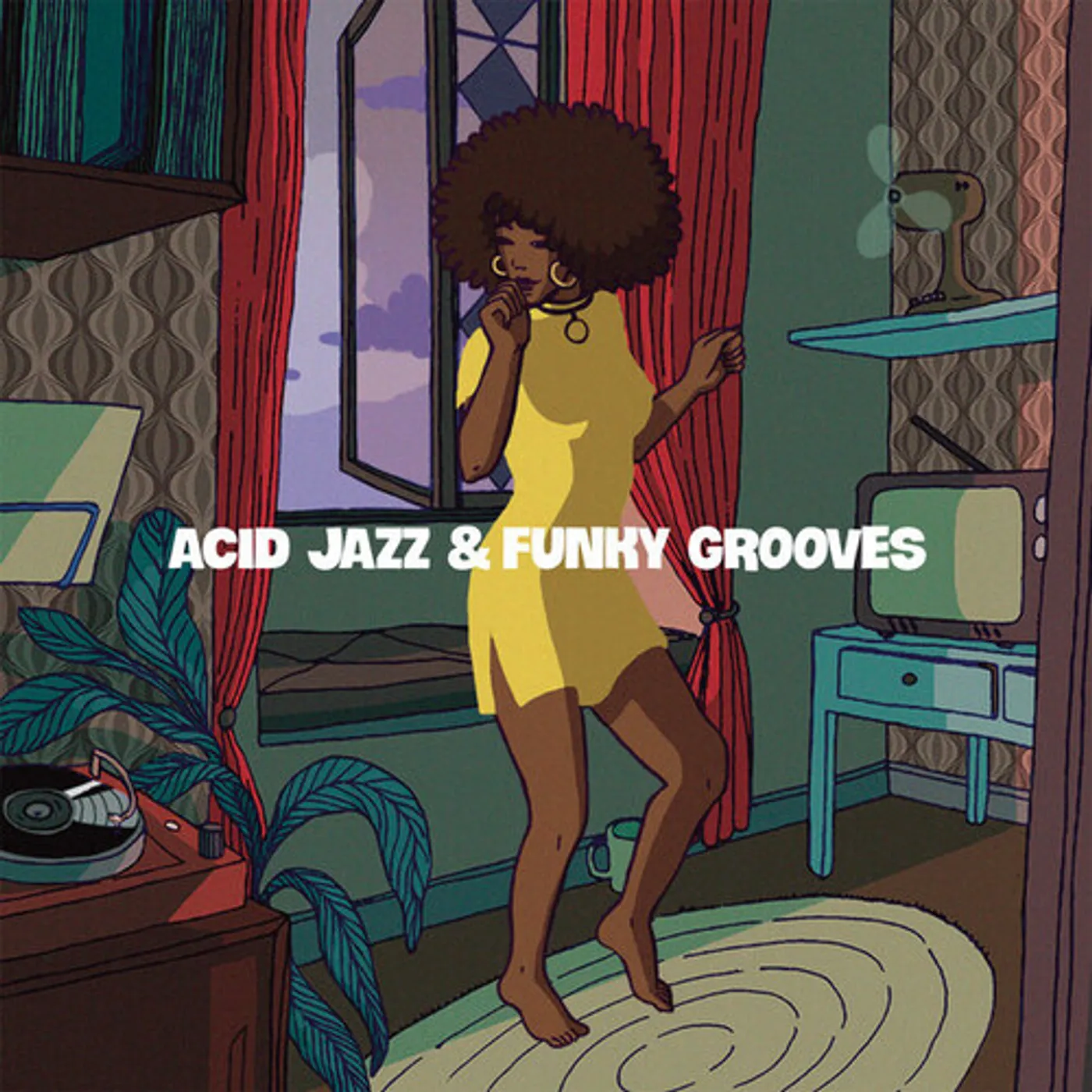 ACID JAZZ & FUNKY GROOVES / VARIOUS Vinyl Record