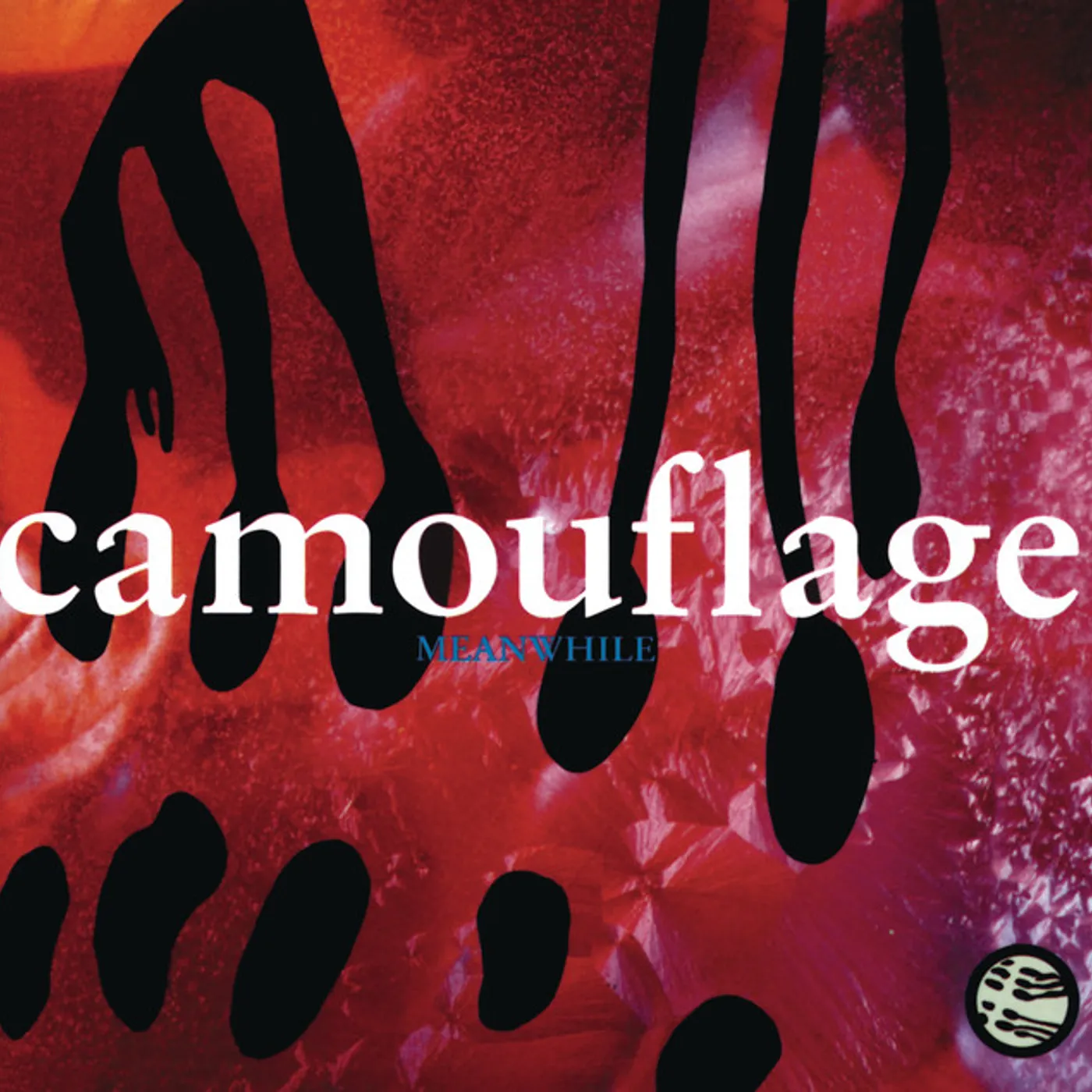 Camouflage MEANWHILE CD