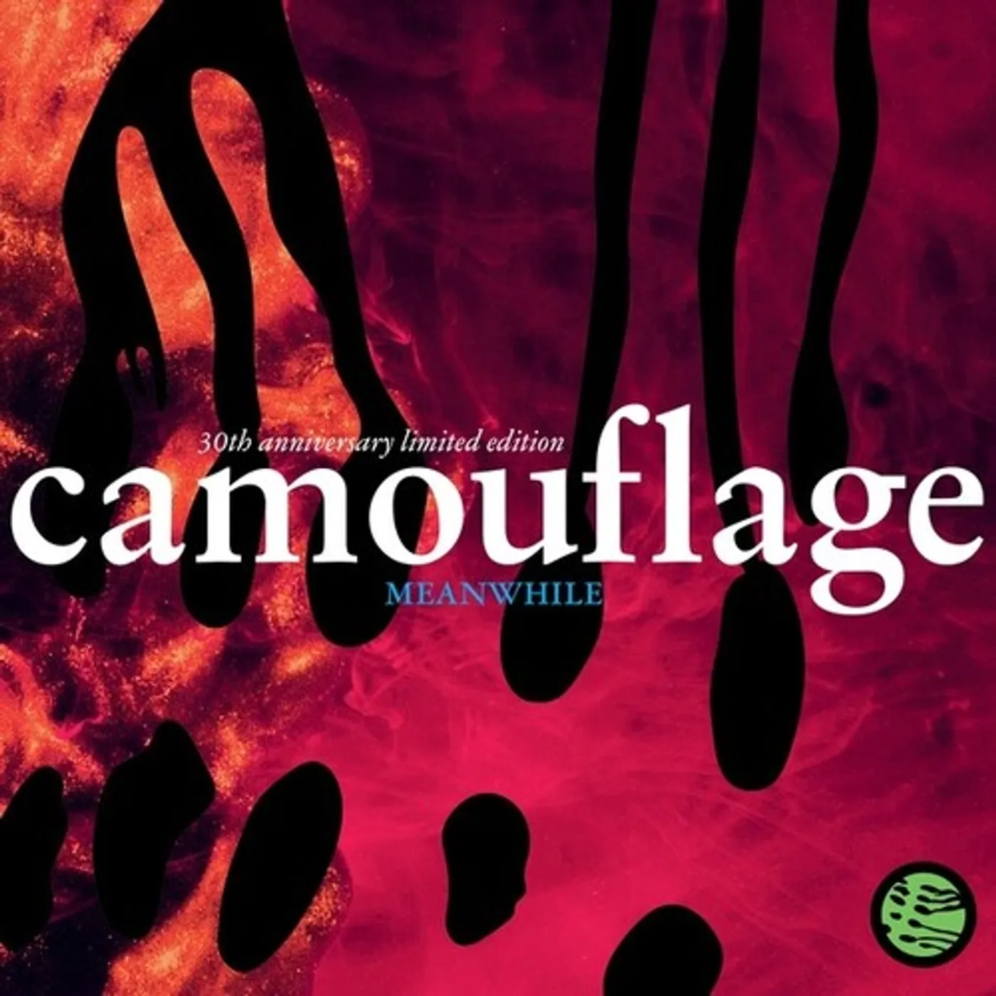 Camouflage MEANWHILE CD