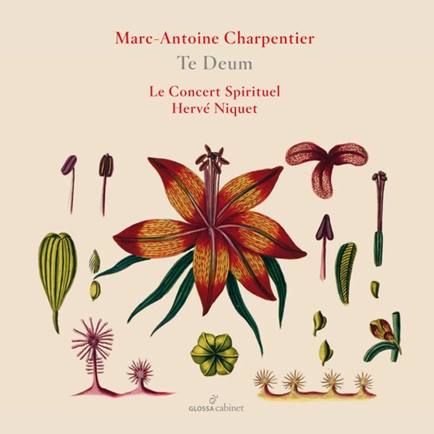 Charpentier, Le Concert, Spirituel, and Niquet TE DEUM CD