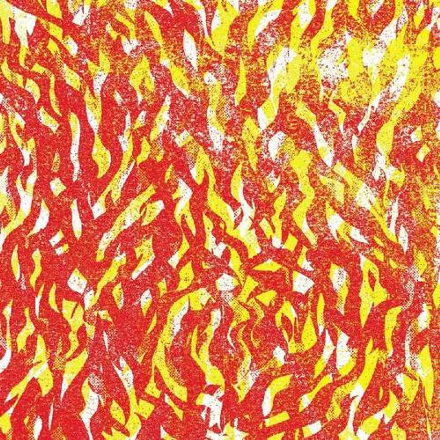 The Bug Fire Vinyl Record