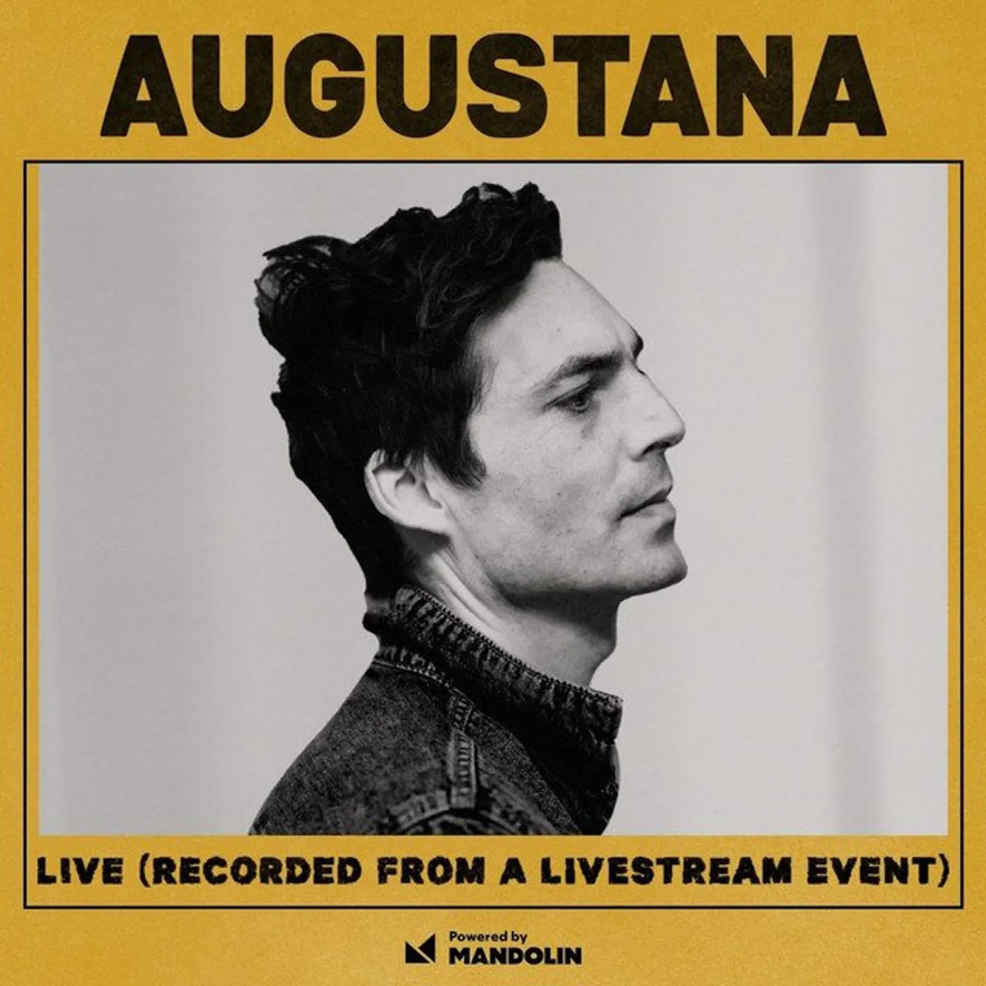 Augustana LIVE Vinyl Record